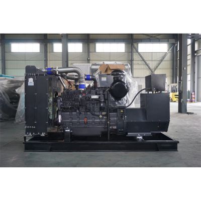 200kw上柴股份柴油發(fā)電機(jī)組-上柴股份6缸柴油機(jī)SC9D310D2柴油發(fā)電機(jī)組,缸徑/行程：135/150mm,柴油發(fā)電機(jī)組水冷發(fā)動(dòng)機(jī)功率228KW,柴油發(fā)電機(jī)組配套馬拉松斯坦福發(fā)電機(jī)。廠價(jià)直銷歡迎選購(gòu)：13773399855。